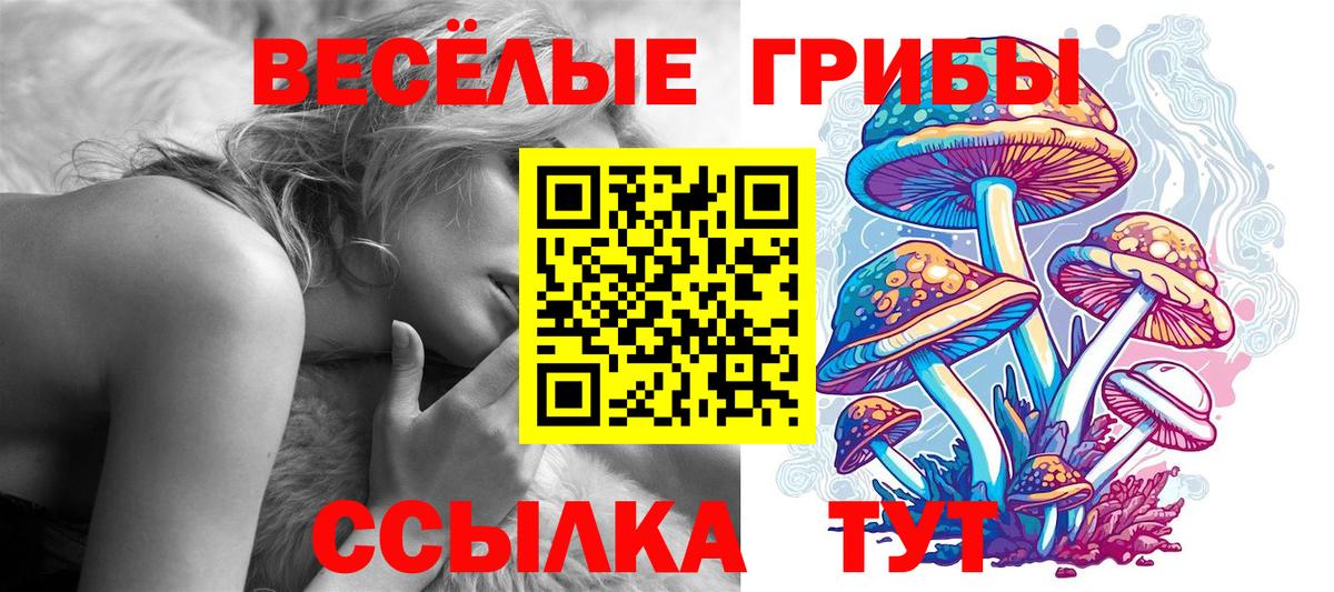 Псилоцибиновые грибы ЛСД  Вход с VPN  Ефремов  Псилоцибиновые грибы Cubensis 
